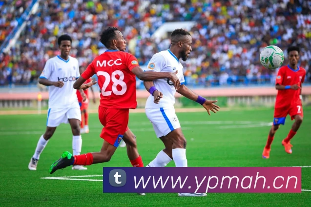 App Interface Preview