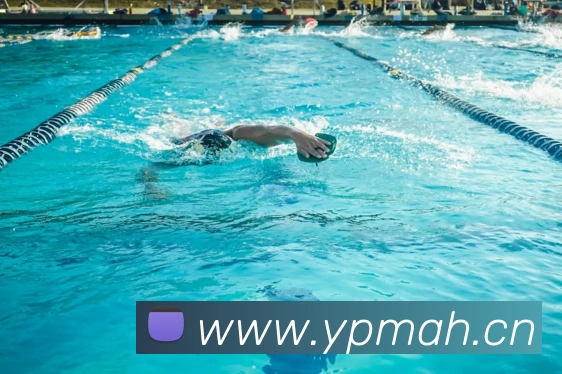 乐鱼登录入口官网APP 封面图